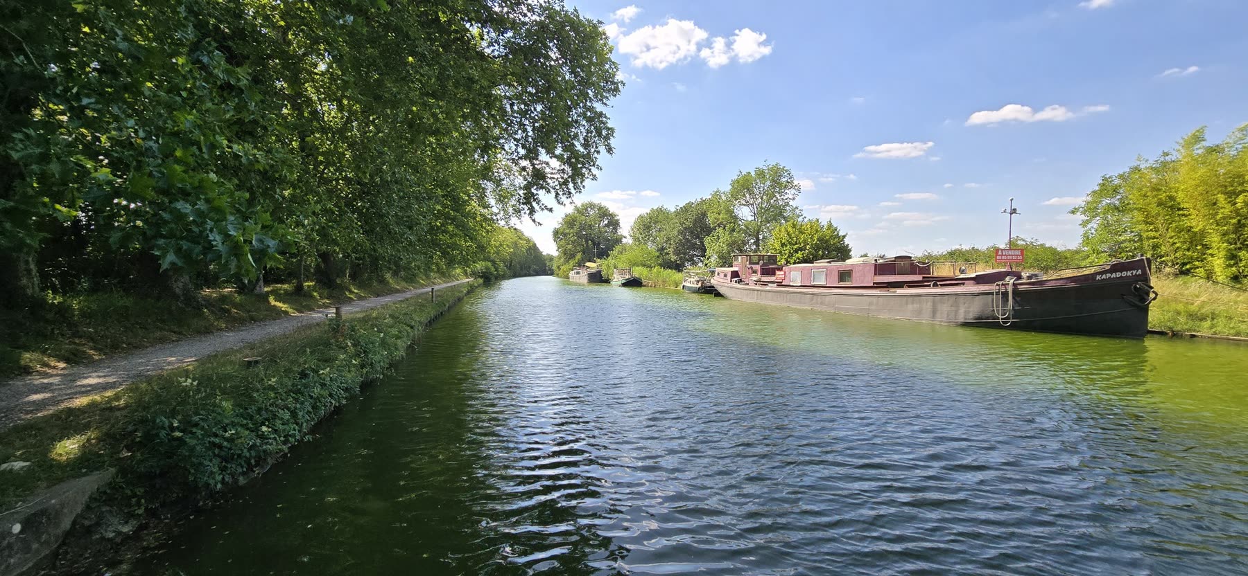 Le canal du Midi bordé de ses arbres